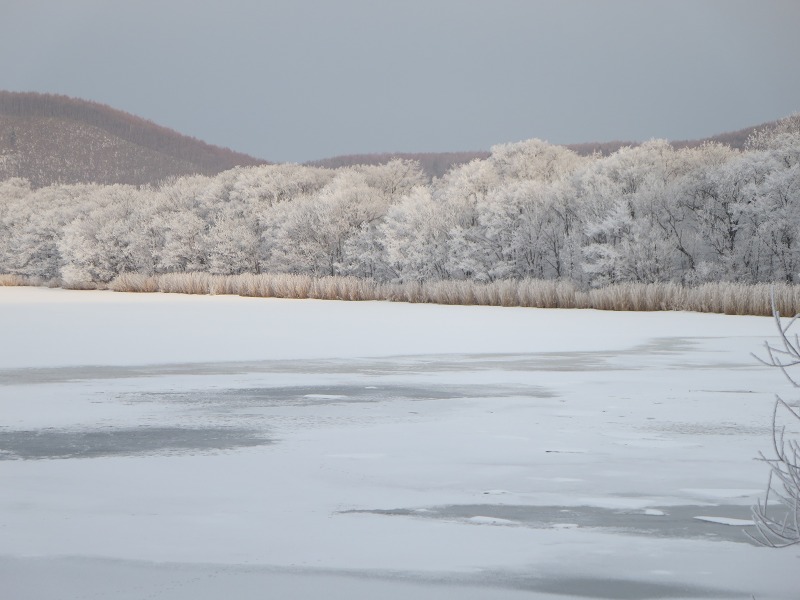 ファイル 9-3.jpg