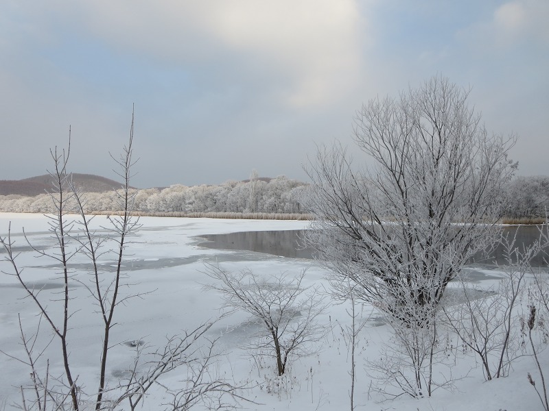 ファイル 9-4.jpg