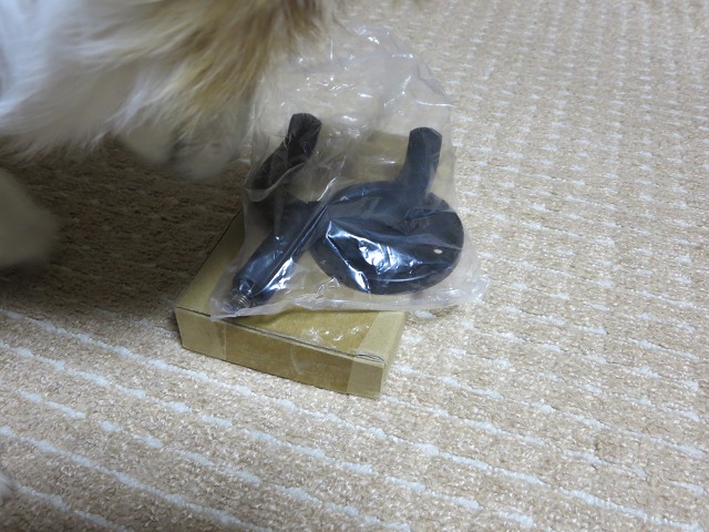 ファイル 9-5.jpg