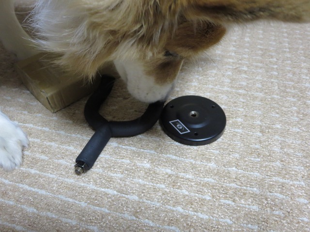 ファイル 9-6.jpg