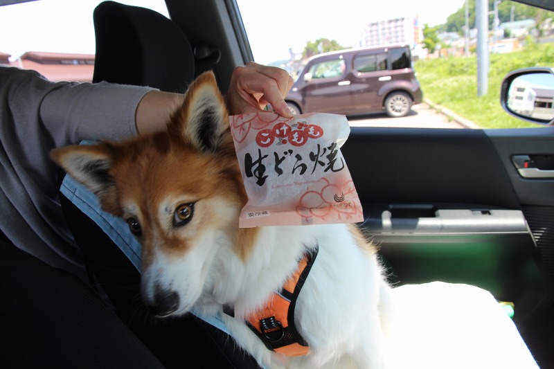 ファイル 90-1.jpg