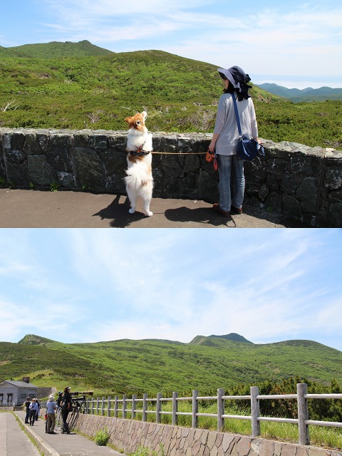 ファイル 90-3.jpg