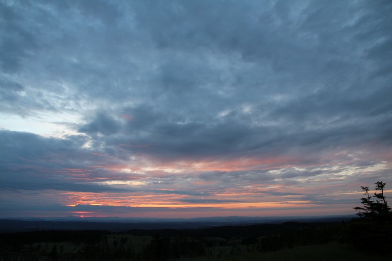 ファイル 90-4.jpg