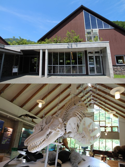 ファイル 90-5.jpg