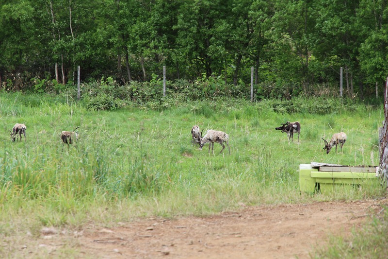 ファイル 91-2.jpg