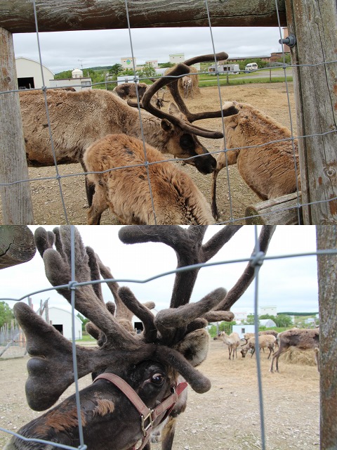 ファイル 91-4.jpg