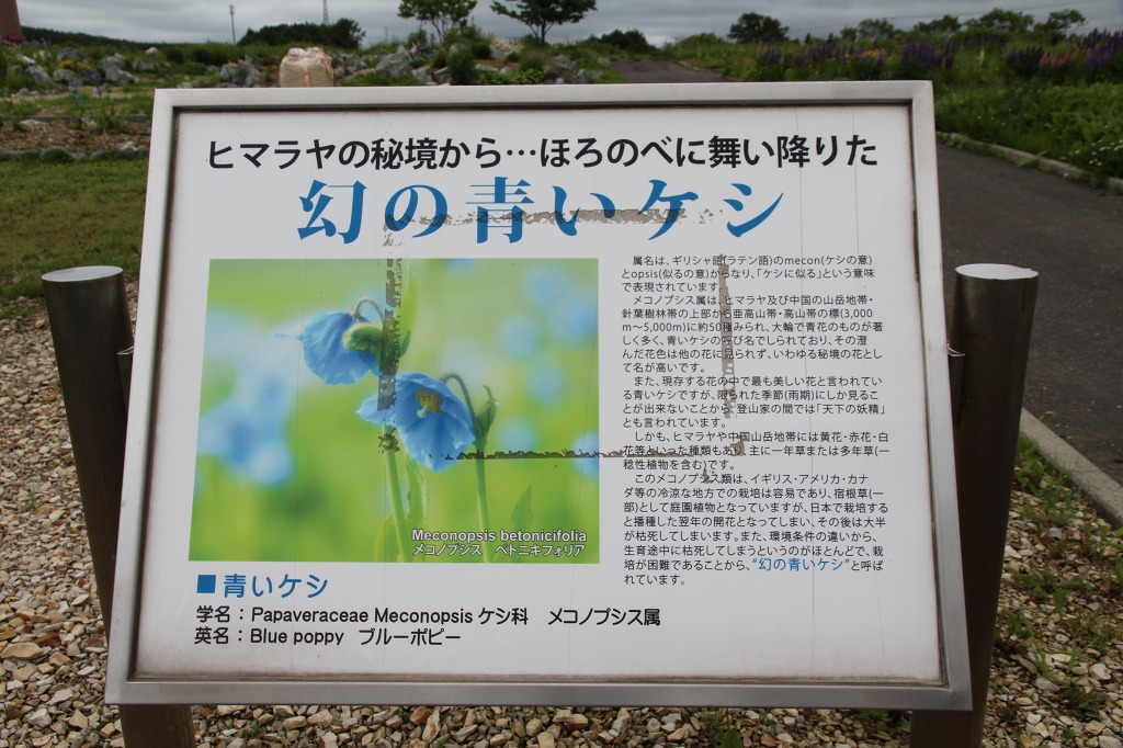 ファイル 91-6.jpg