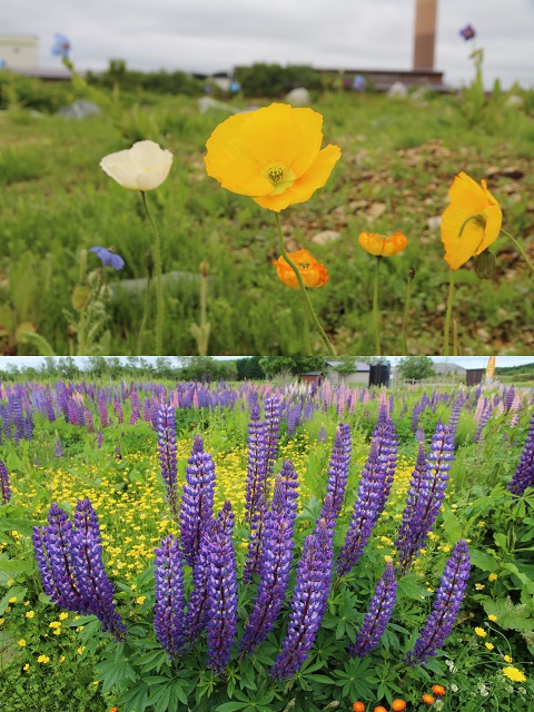 ファイル 91-7.jpg