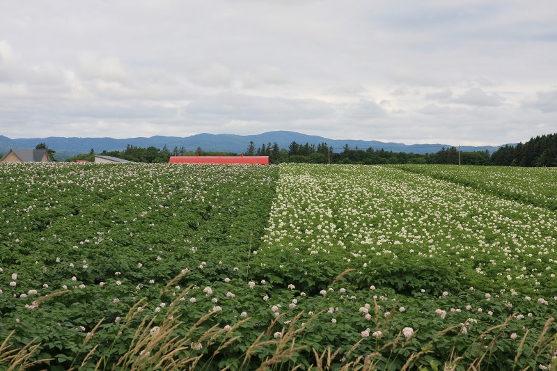 ファイル 94-1.jpg