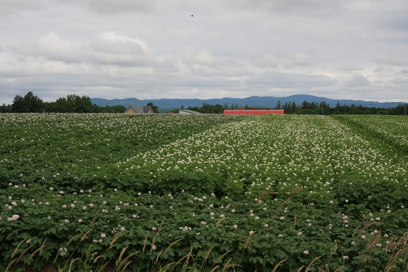 ファイル 94-2.jpg