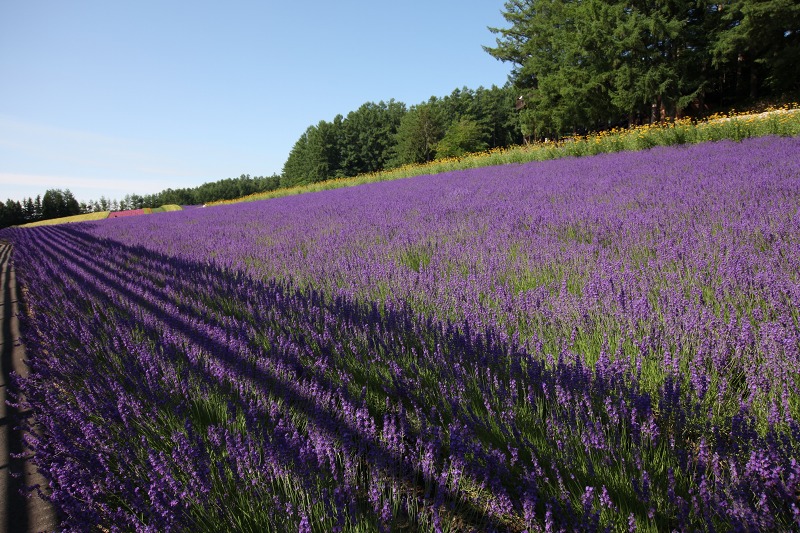 ファイル 96-2.jpg