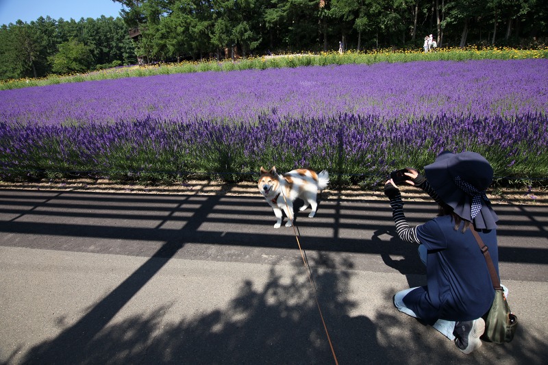 ファイル 96-3.jpg