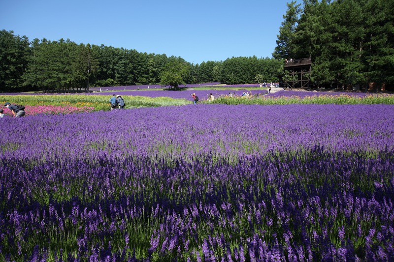 ファイル 96-4.jpg