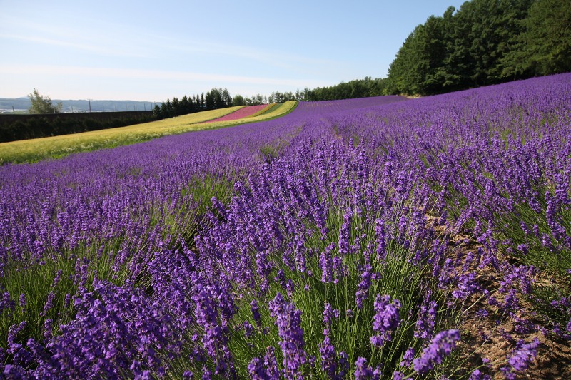 ファイル 96-5.jpg