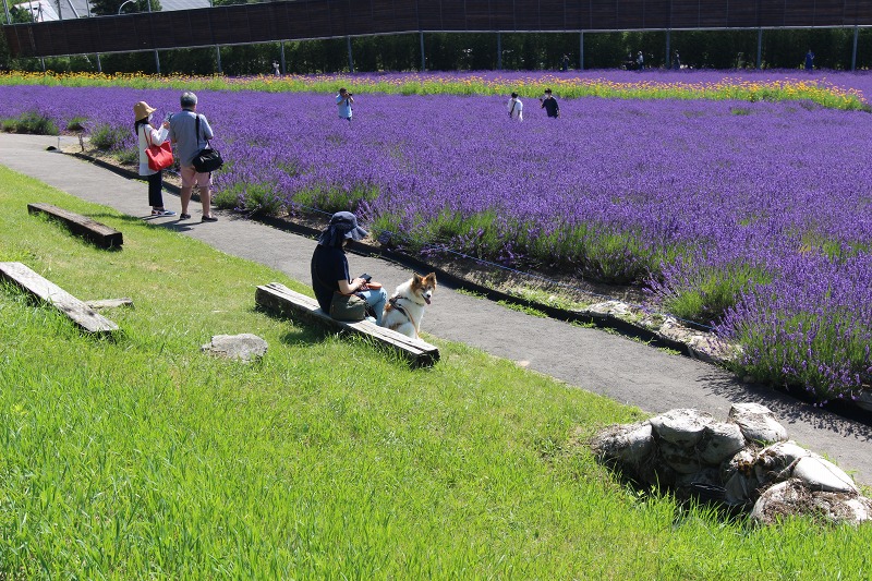 ファイル 96-8.jpg