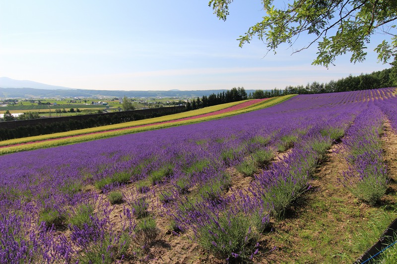 ファイル 96-9.jpg