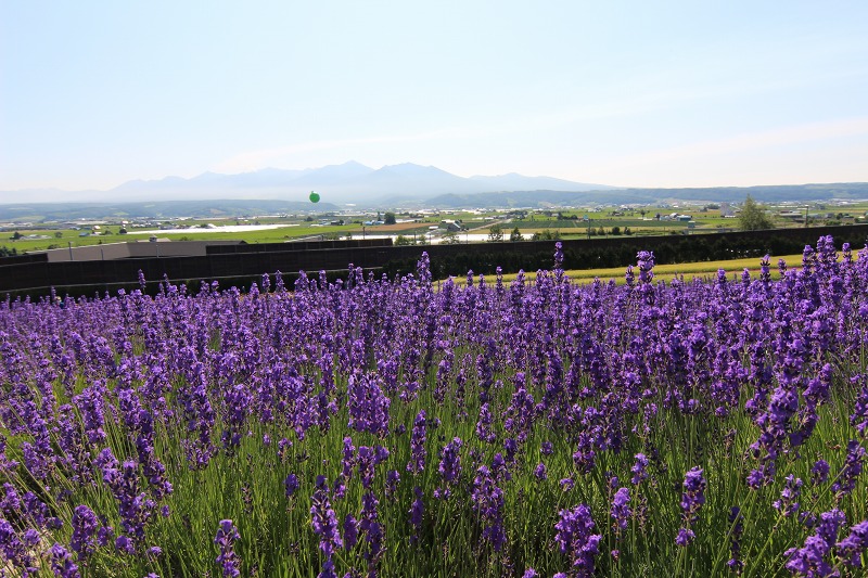 ファイル 97-1.jpg