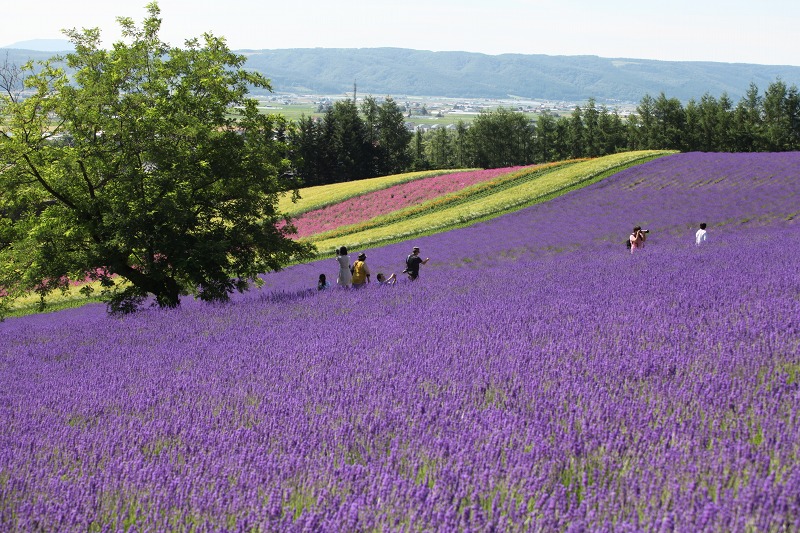 ファイル 97-5.jpg