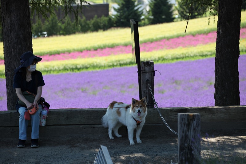 ファイル 97-6.jpg