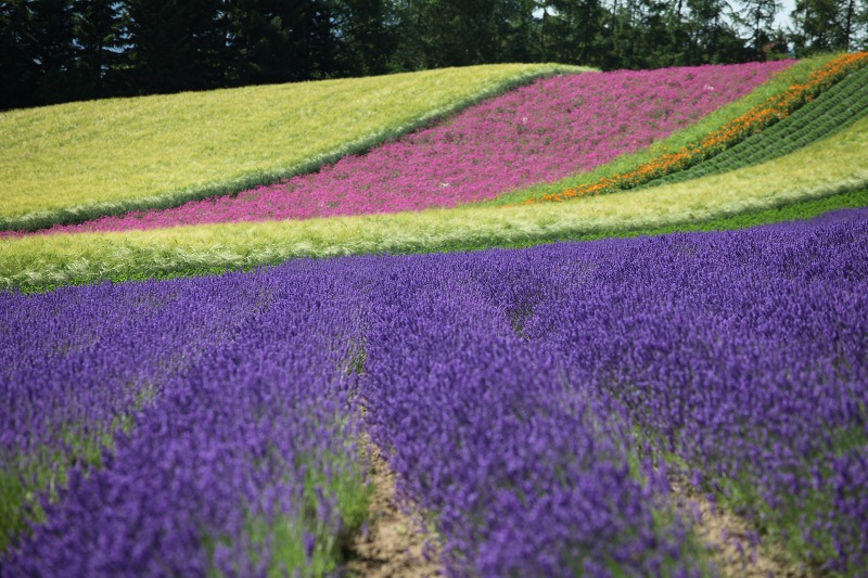 ファイル 97-8.jpg