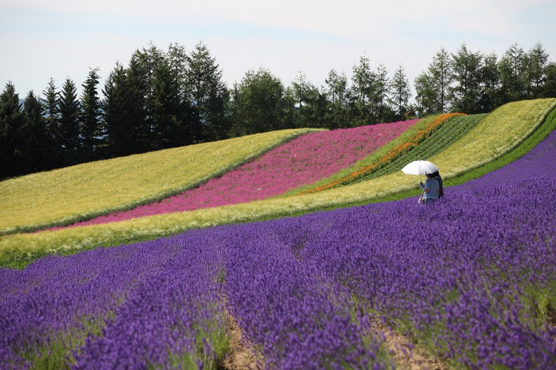 ファイル 97-9.jpg