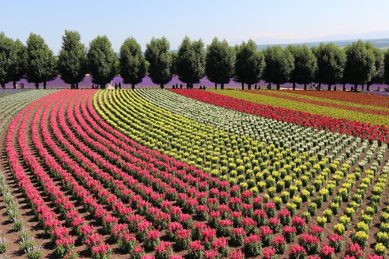 ファイル 98-1.jpg