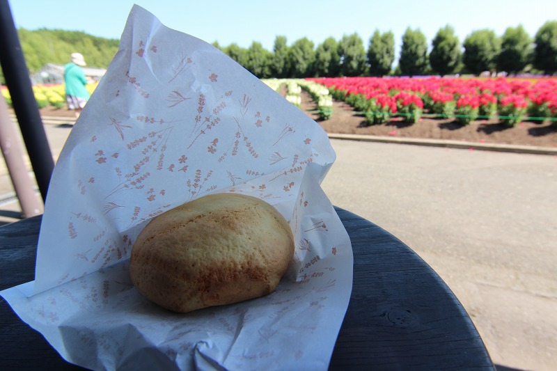 ファイル 98-2.jpg