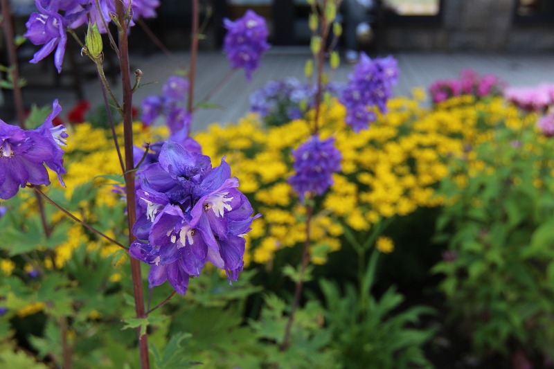 ファイル 98-3.jpg