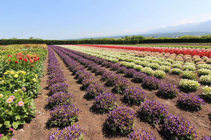 ファイル 98-7.jpg