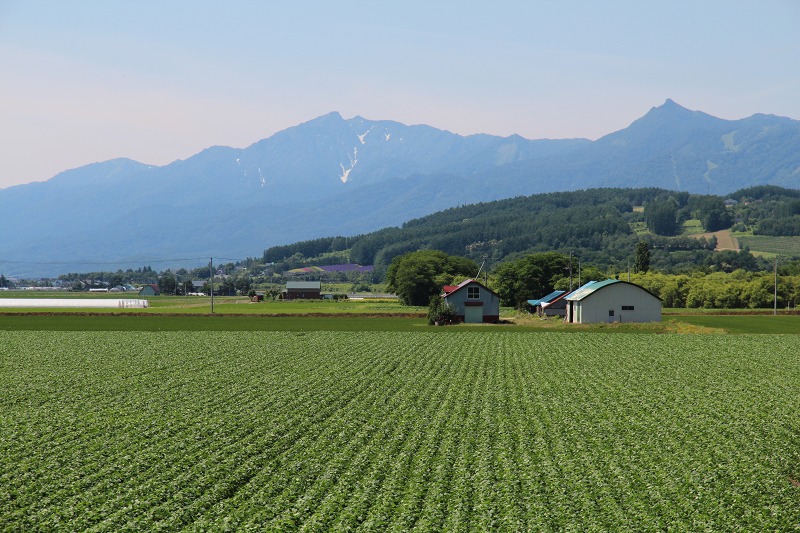 ファイル 99-1.jpg