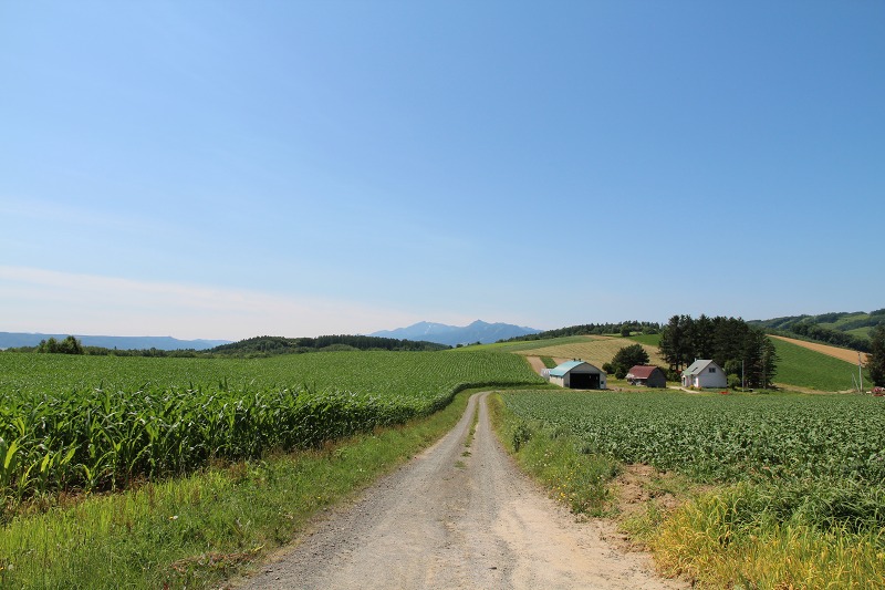 ファイル 99-4.jpg