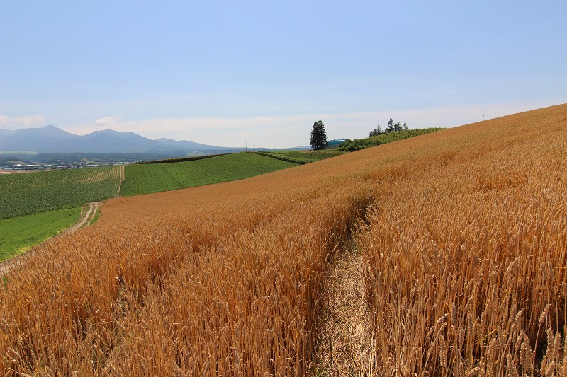 ファイル 99-7.jpg