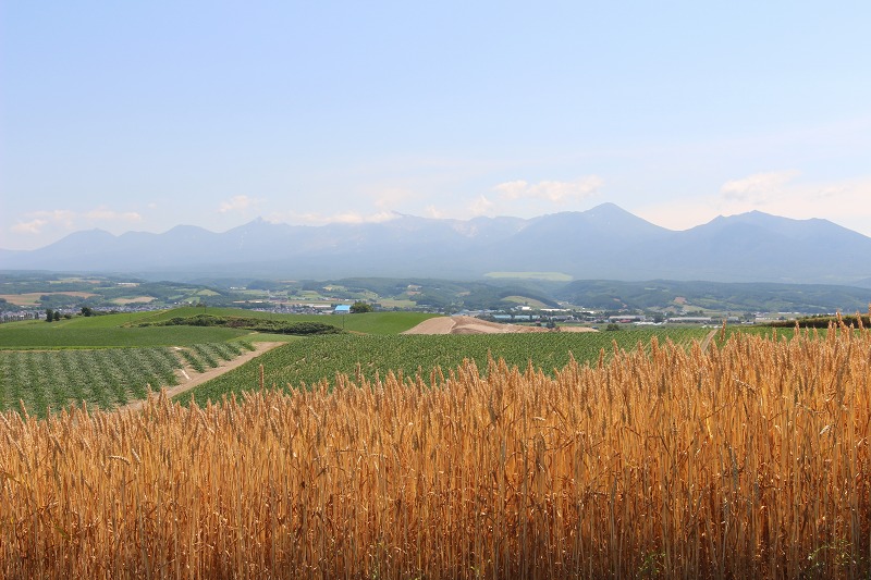 ファイル 99-8.jpg