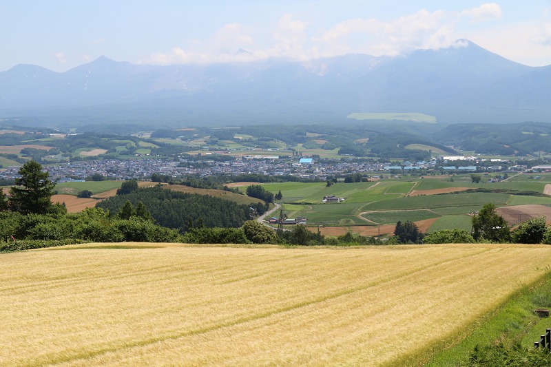 ファイル 99-9.jpg