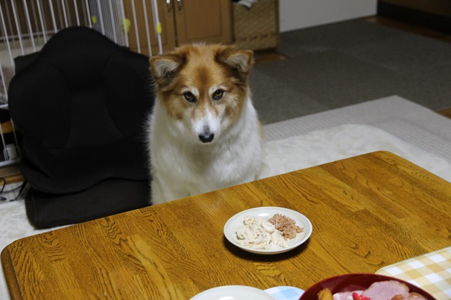 ファイル 1-1.jpg