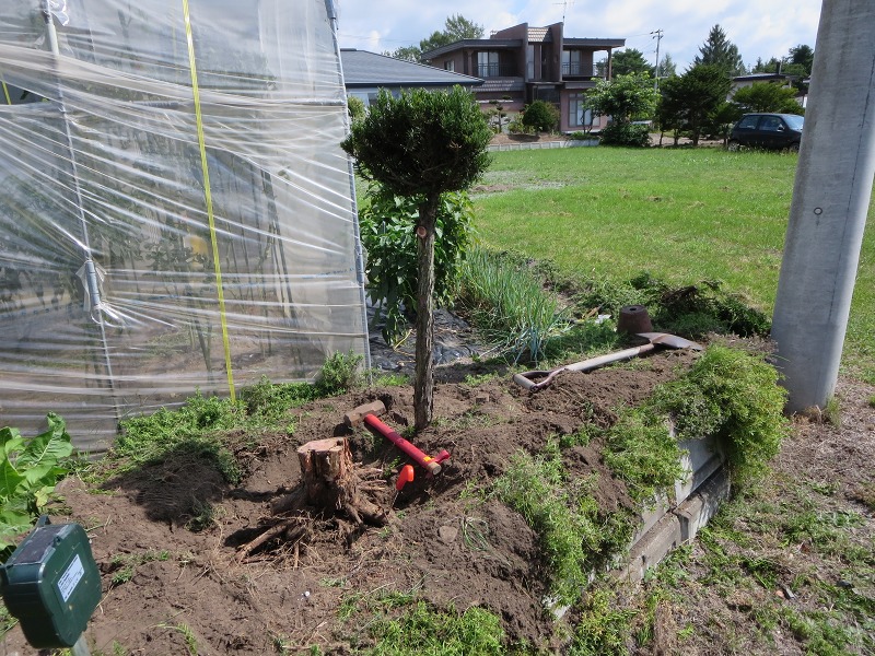 ファイル 100-2.jpg