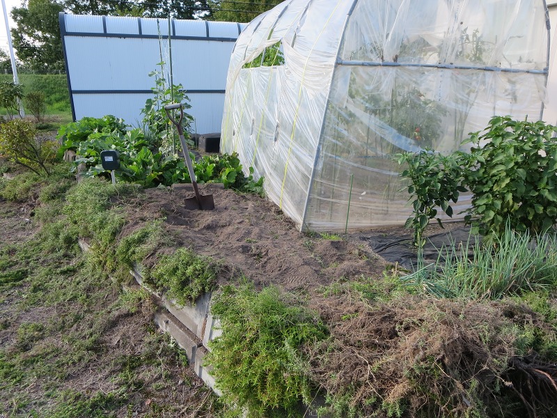 ファイル 100-5.jpg