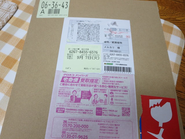 ファイル 101-1.jpg