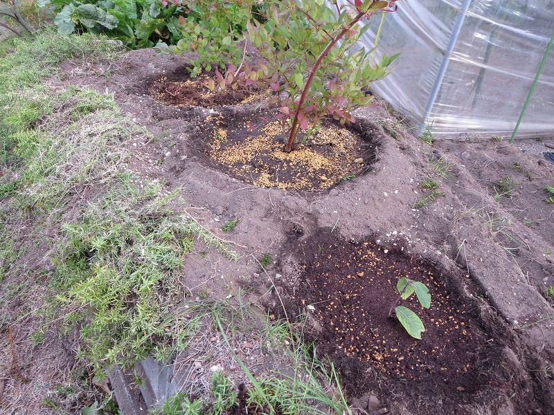 ファイル 101-5.jpg