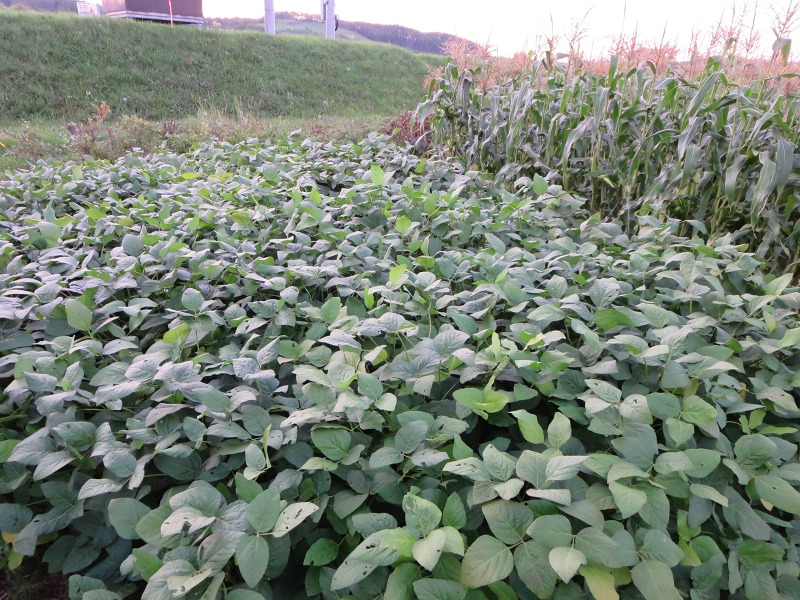 ファイル 102-2.jpg