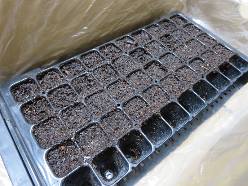 ファイル 102-9.jpg