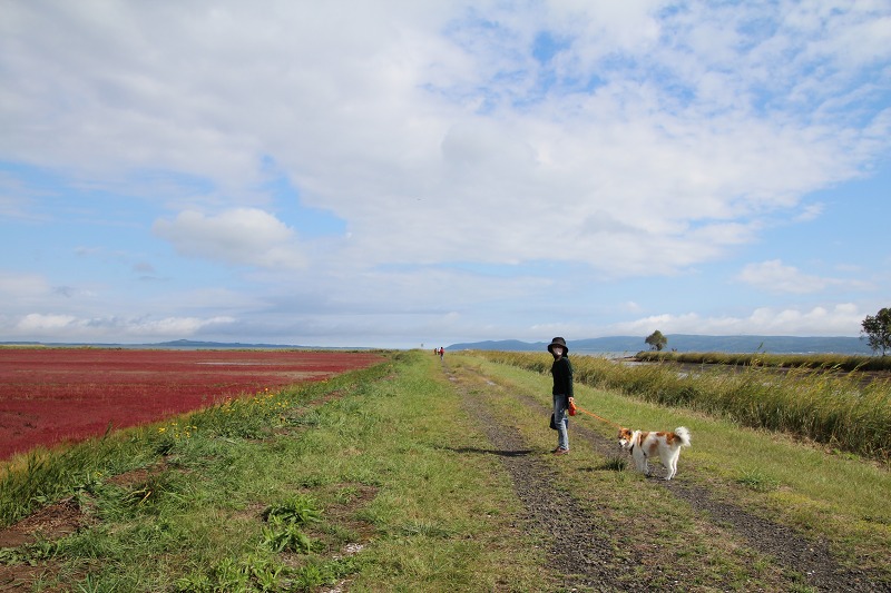 ファイル 105-3.jpg