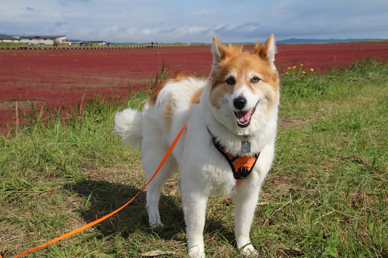 ファイル 105-4.jpg