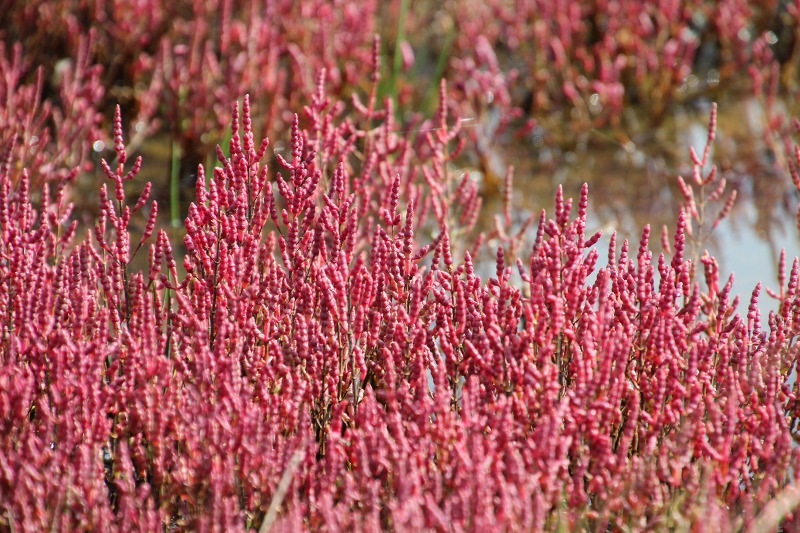 ファイル 105-5.jpg