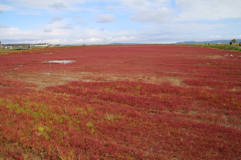 ファイル 105-6.jpg