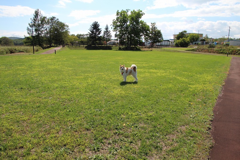 ファイル 105-8.jpg