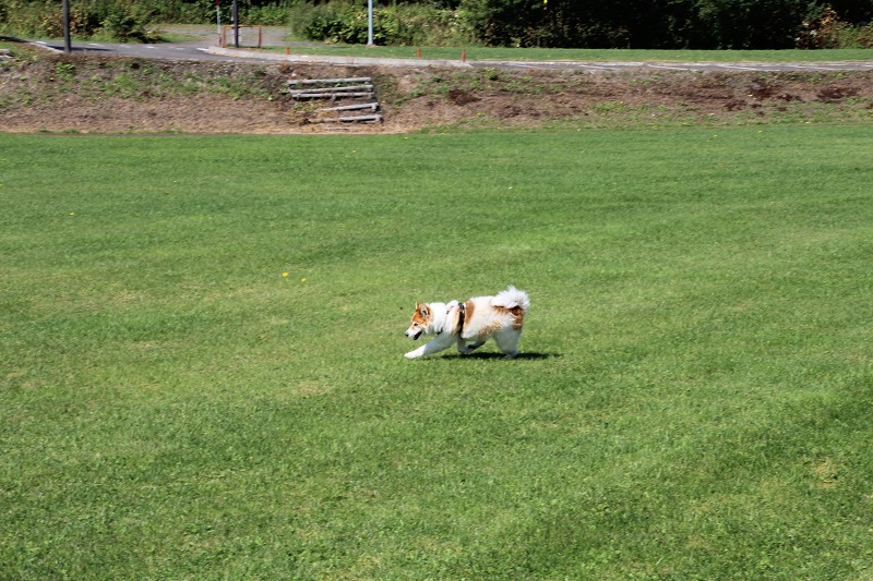 ファイル 105-9.jpg