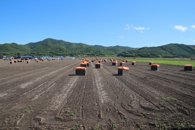 ファイル 106-3.jpg