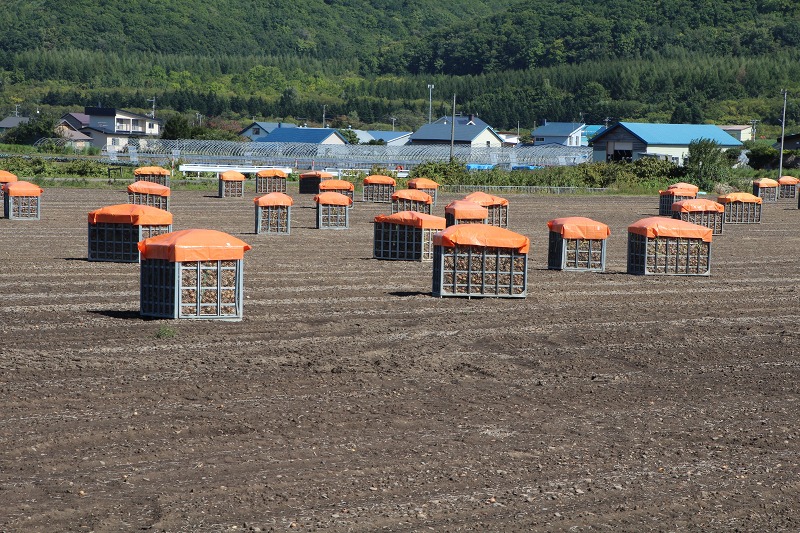 ファイル 106-4.jpg