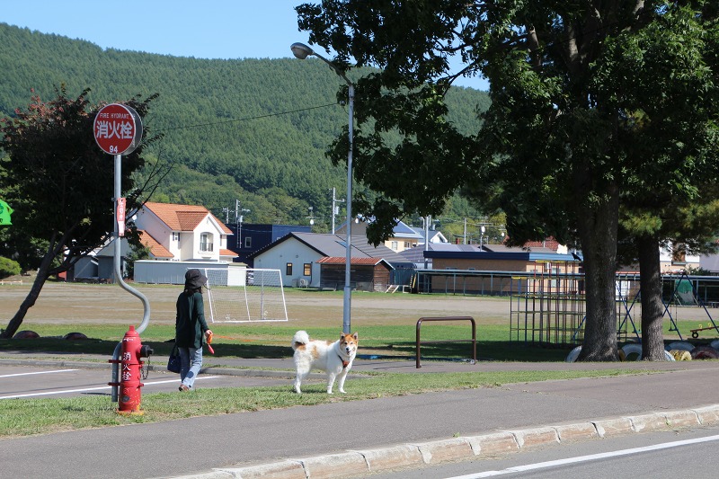 ファイル 106-5.jpg